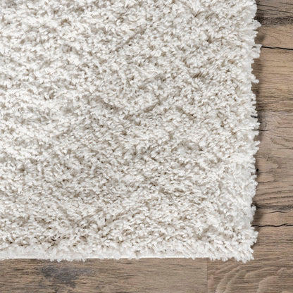 Solid Runner Shag Rug for Living Room Bedroom Dining Room Nursery Entryway Hallway, Off White 4 x 6