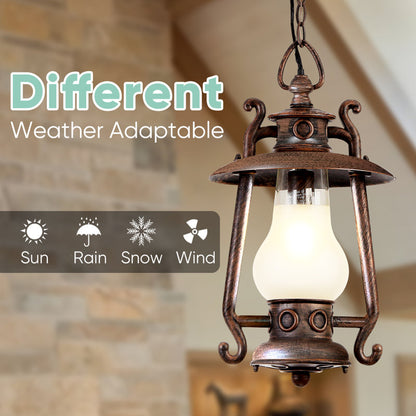 Rosalie Black 1 - Bulb 20.5 H Outdoor Adjustable Hanging Lantern