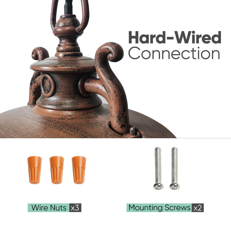 Rosalie Black 1 - Bulb 20.5 H Outdoor Adjustable Hanging Lantern