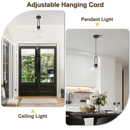 Matte black single pendant